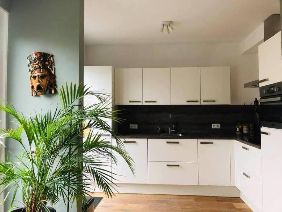Compleet Huis In Nijmegen Διαμέρισμα Εξωτερικό φωτογραφία